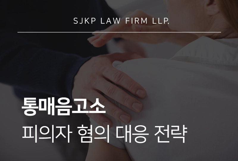 통매음고소 피의자 혐의 대응 전략 총정리