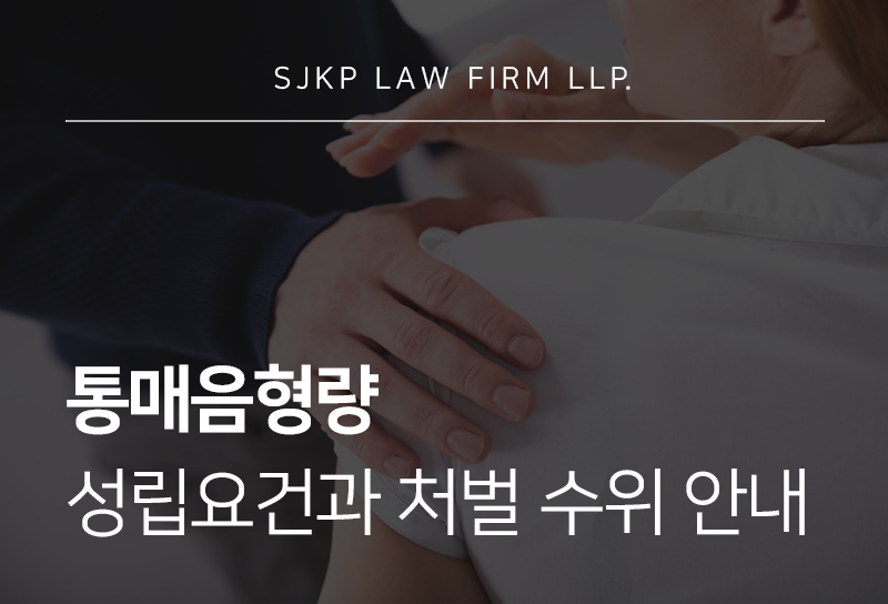 통매음형량 처벌 기준과 고소방법 및 대응 전략 알아보기